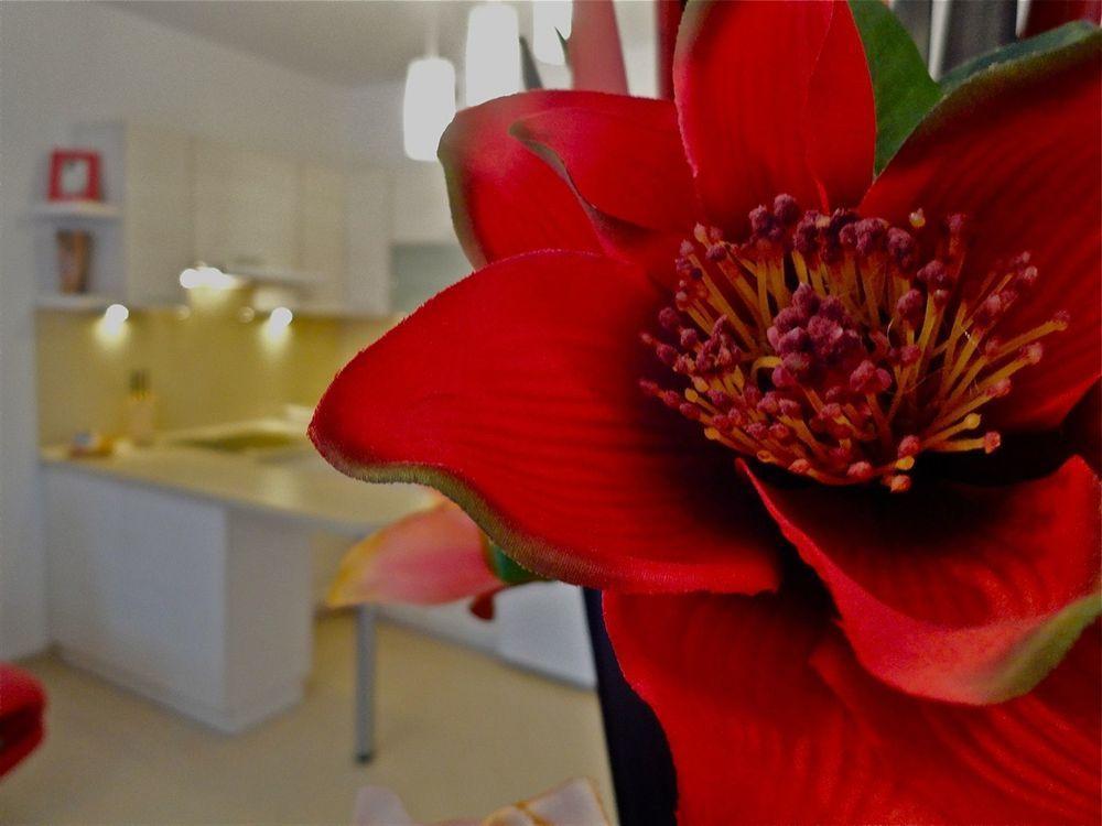 Apartamenty Aparts Lodz  Ngoại thất bức ảnh